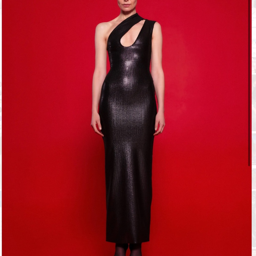 NWT Solace Elissa Gown